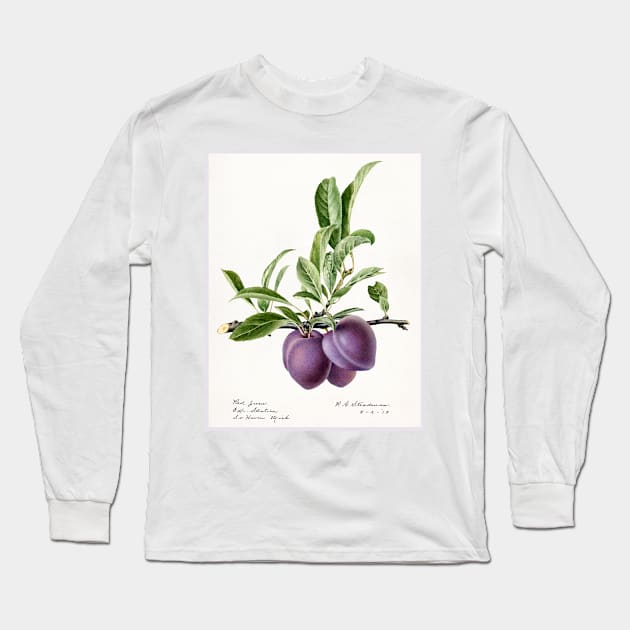 Plums (1919) Long Sleeve T-Shirt by WAITE-SMITH VINTAGE ART